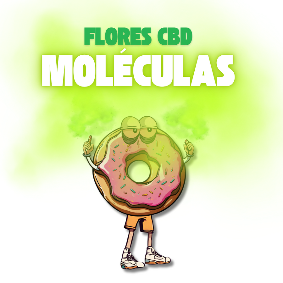 FLORES MOLÉCULAS