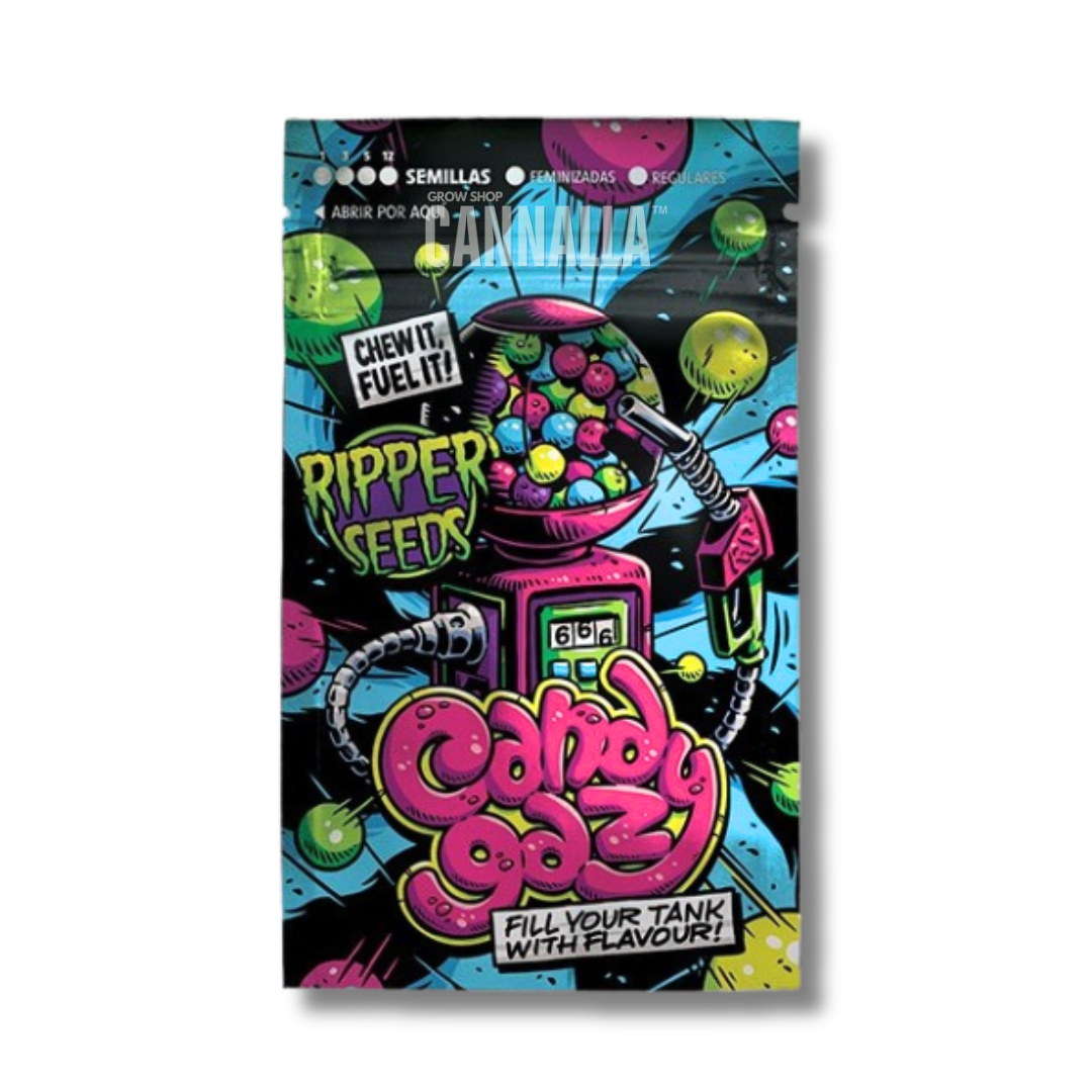 RIPPER SEEDS "CANDYGAZ"