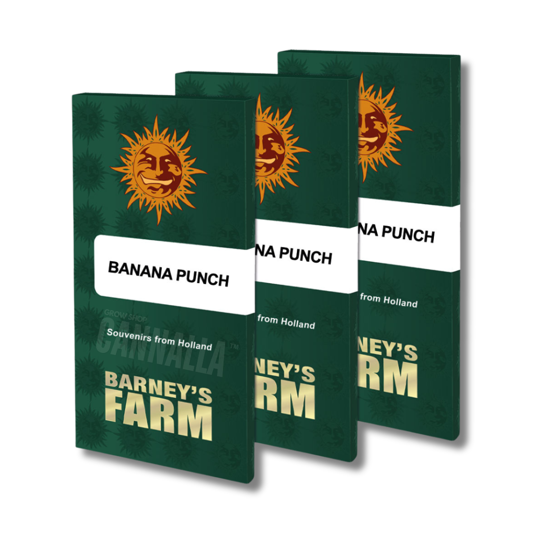BARNEY'S FARM "BANANA PUNCH"