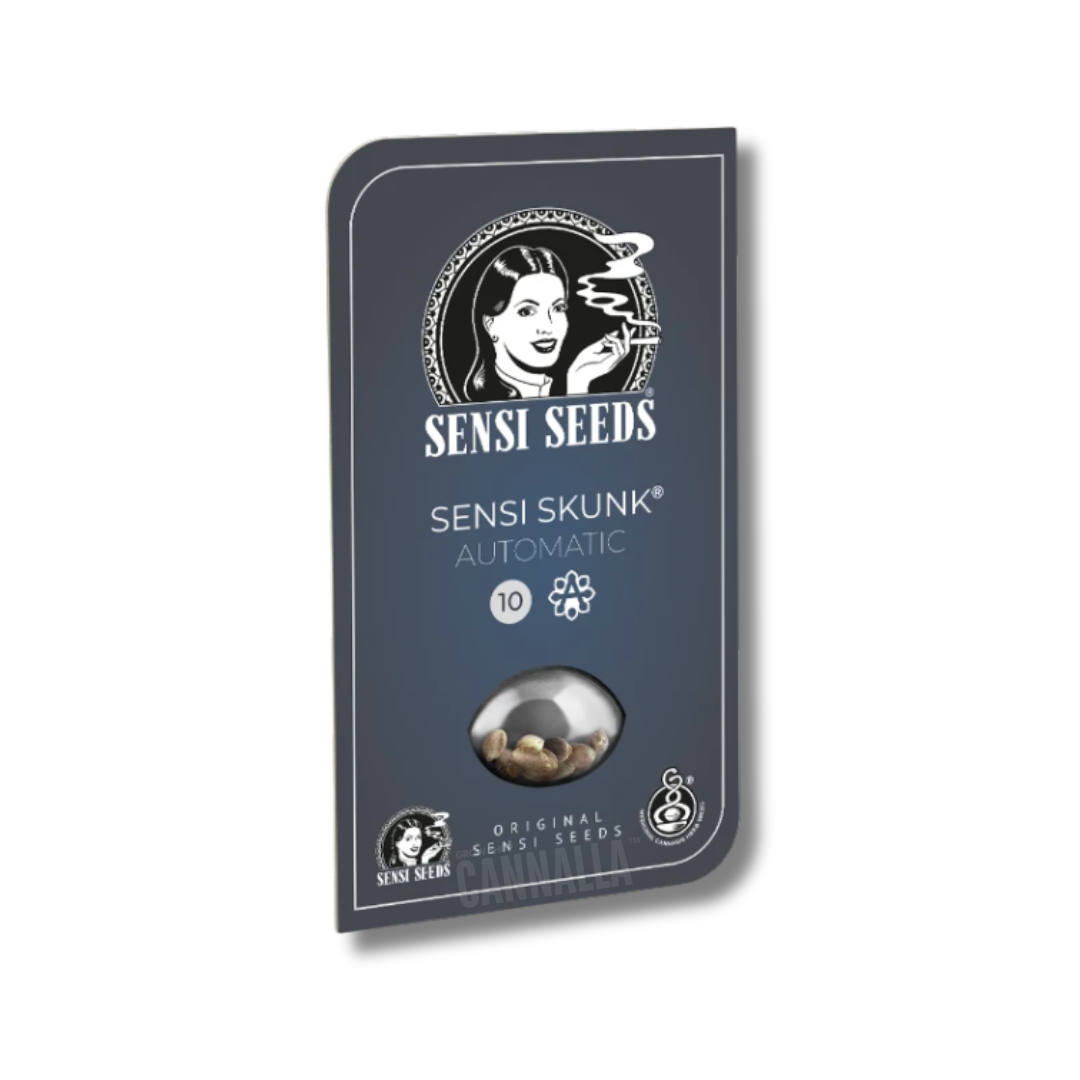 SENSI SEEDS "SENSI SKUNK AUTO"