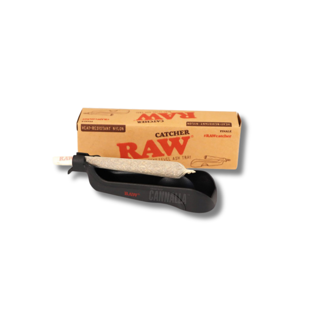 RAW ASH CATCHER FINALE
