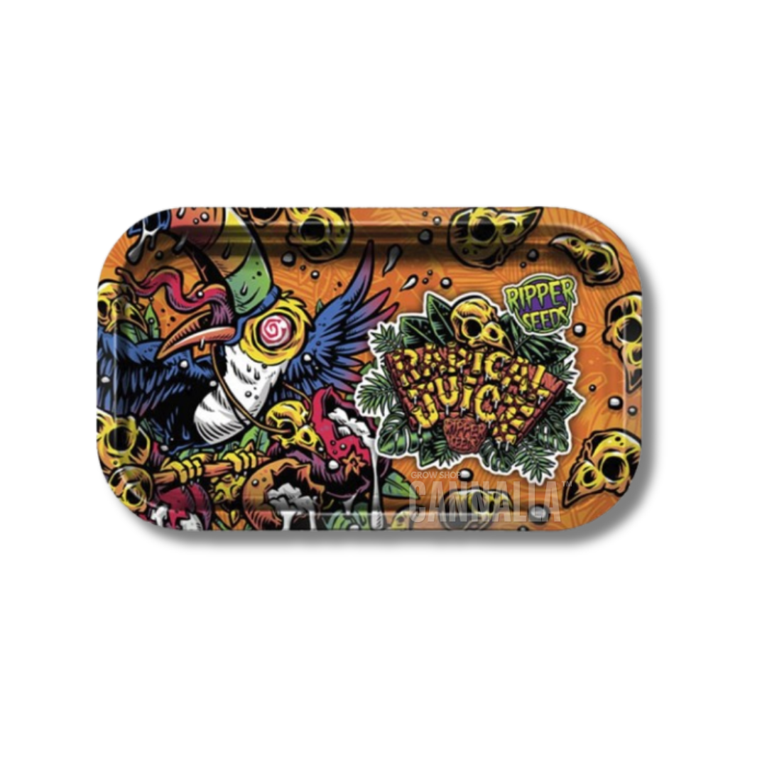RIPPER SEEDS BANDEJA "RADICAL JUICE"