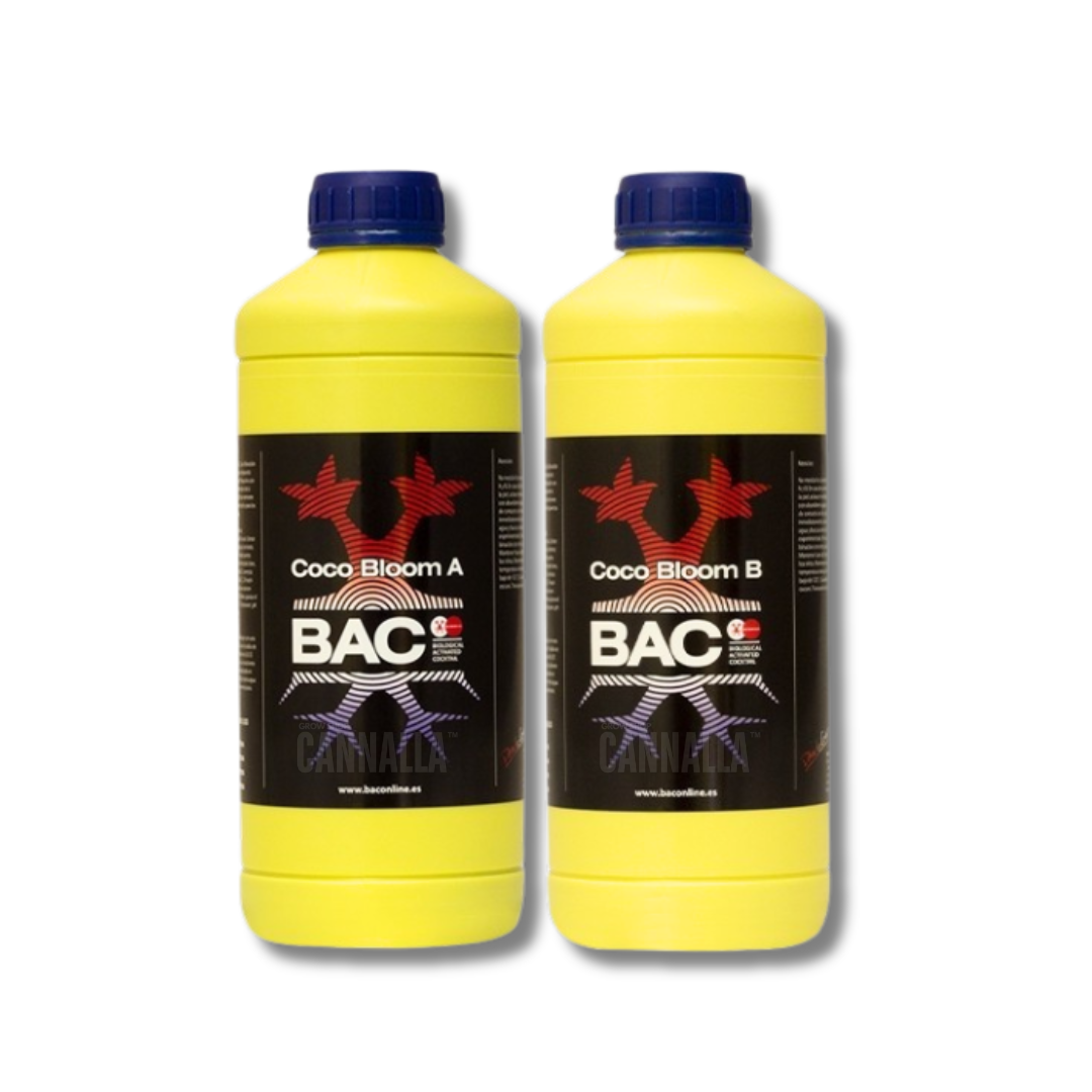 BAC COCO BLOOM A + COCO BLOOM B