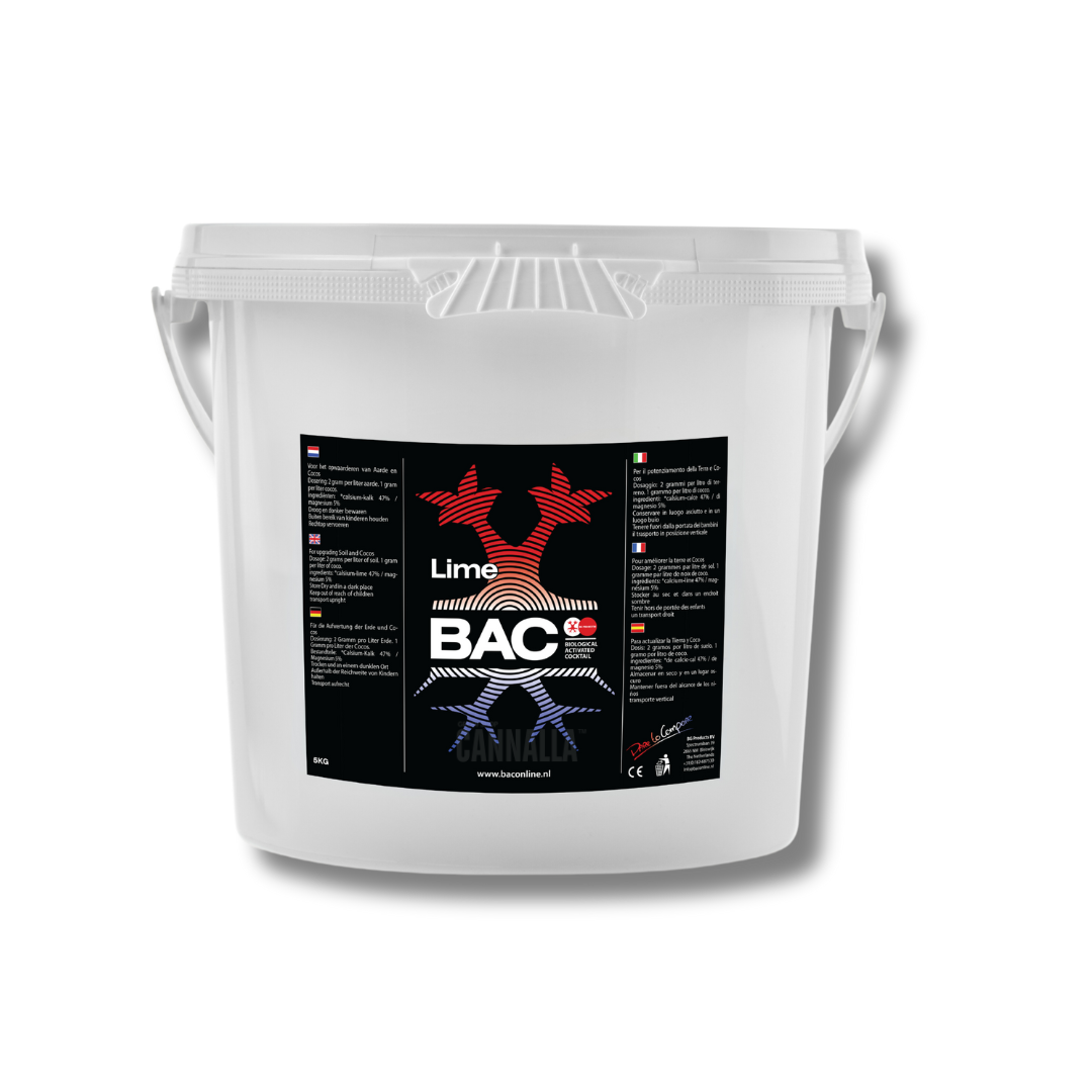 BAC LIME / CHALK
