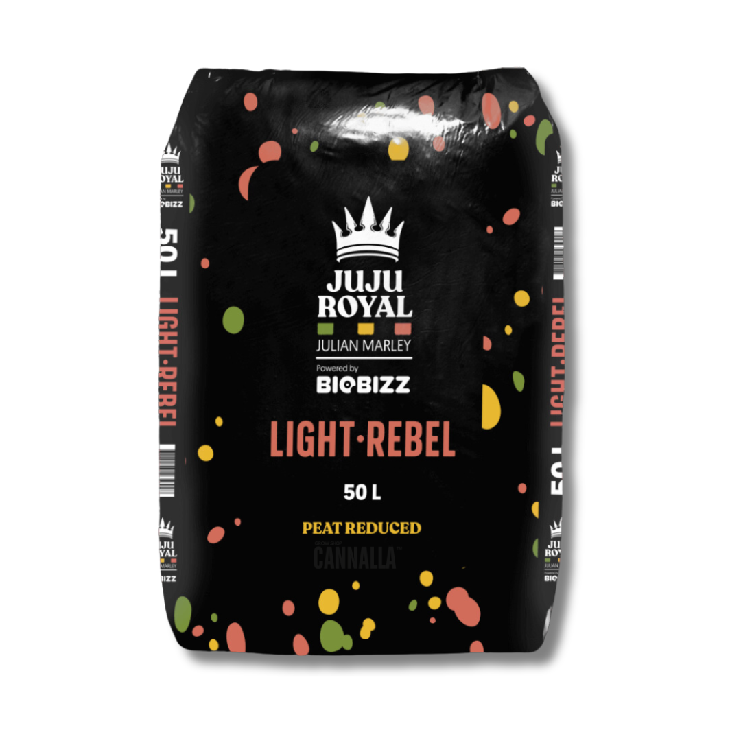 JUJU ROYAL LIGHT REBEL