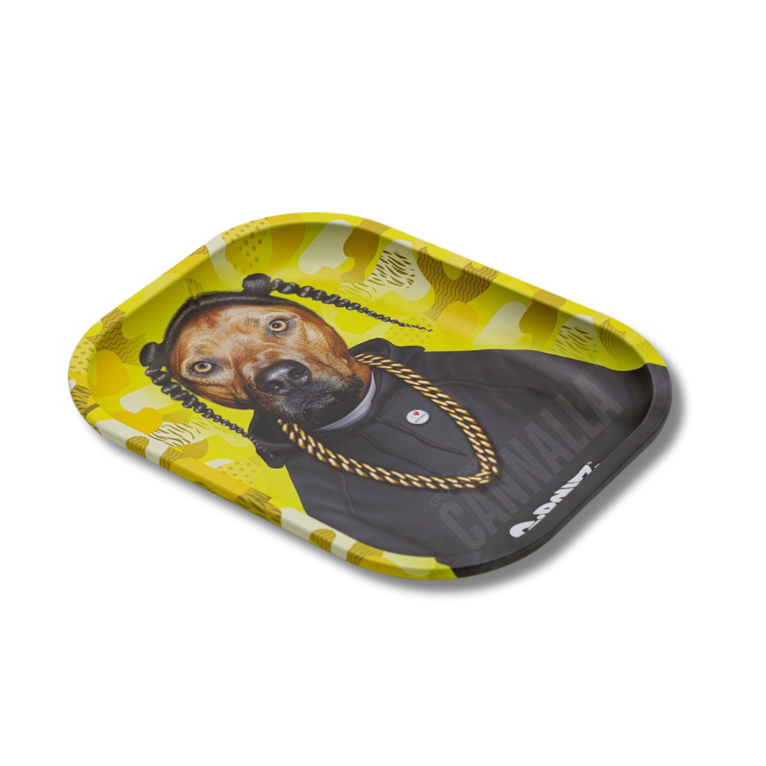 G·ROLLZ BANDEJA PETS ROCK "RAP"