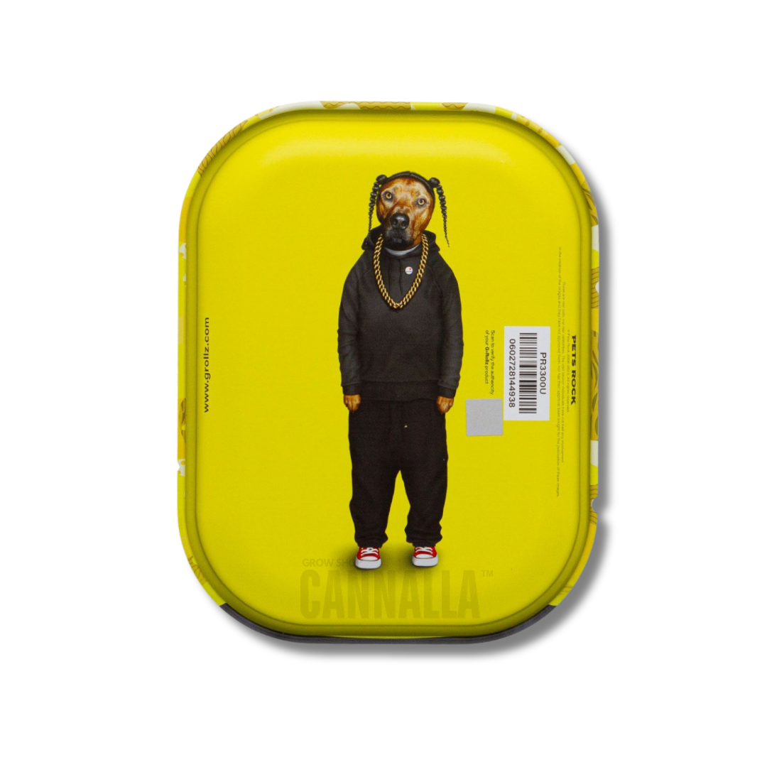 G·ROLLZ BANDEJA PETS ROCK "RAP"