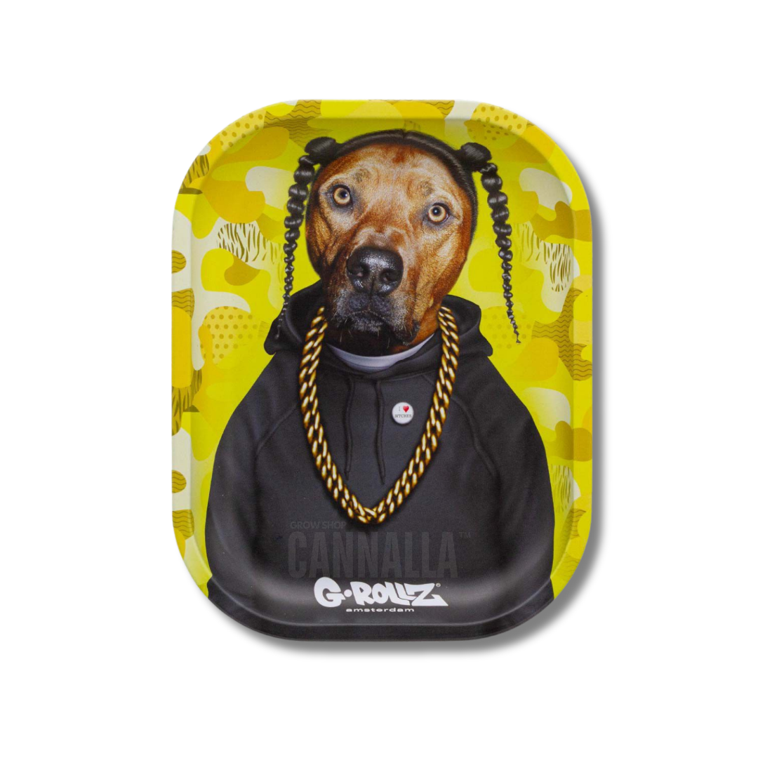 G·ROLLZ BANDEJA PETS ROCK "RAP"