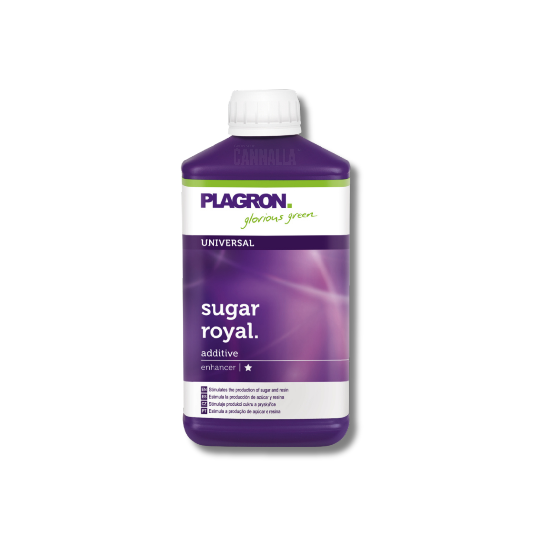 SUGAR ROYAL