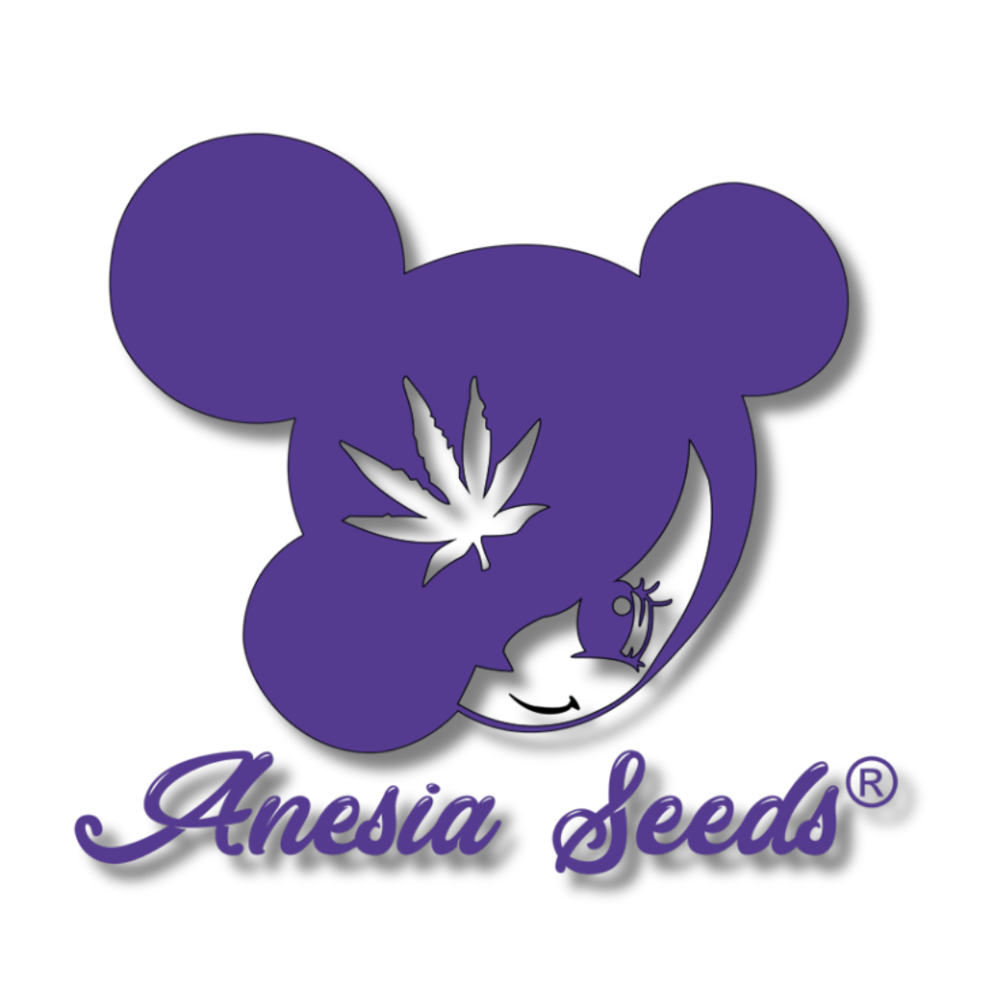 ANESIA SEEDS