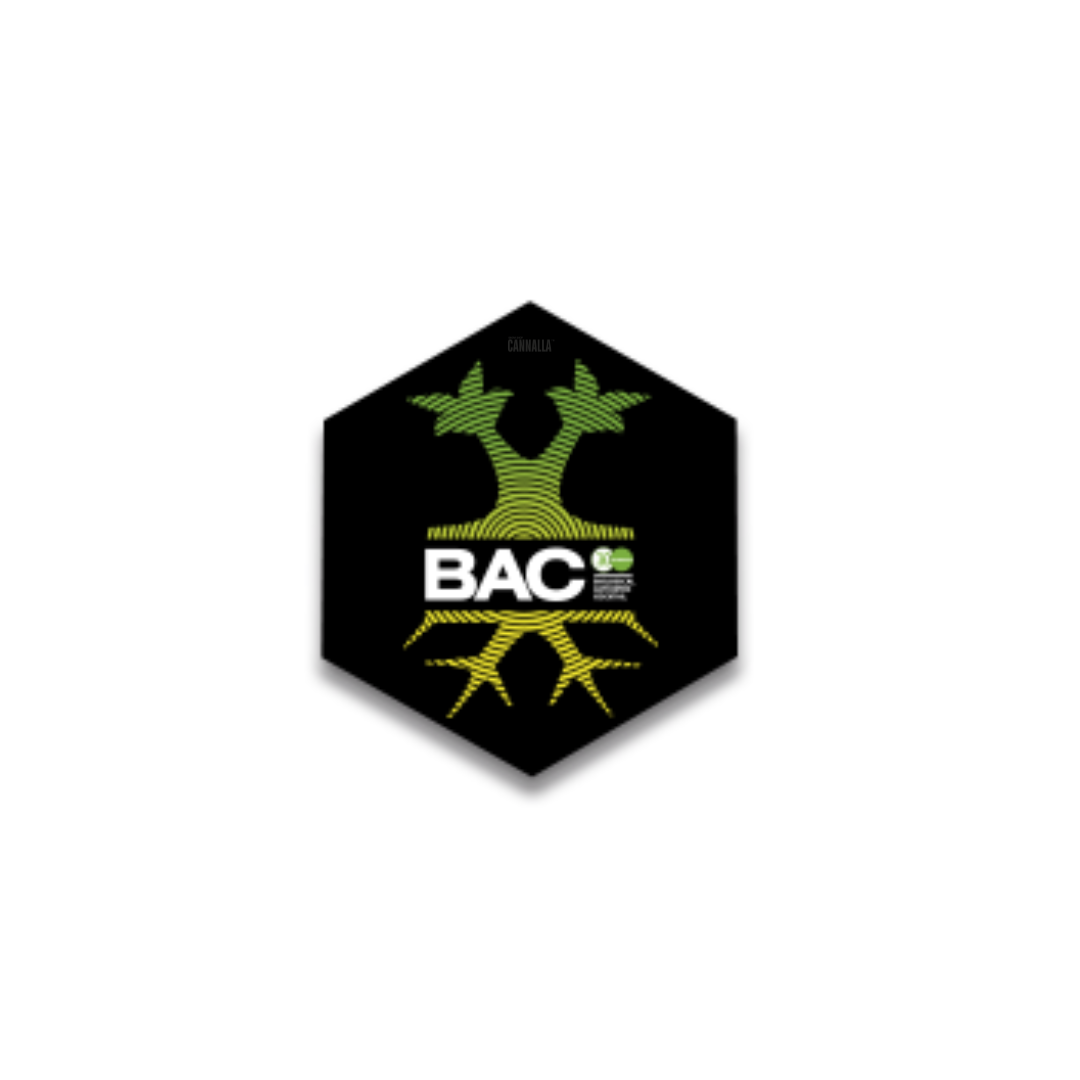 BAC