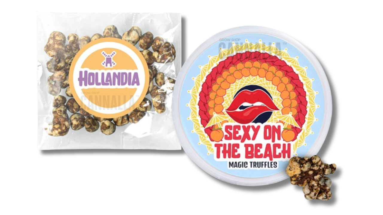 TRUFAS MÁGICAS