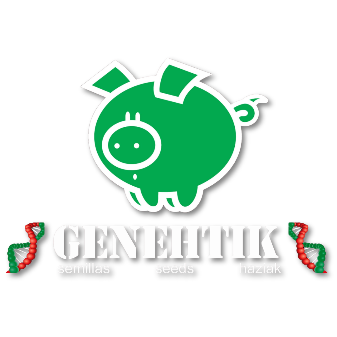 GENEHTIK SEEDS