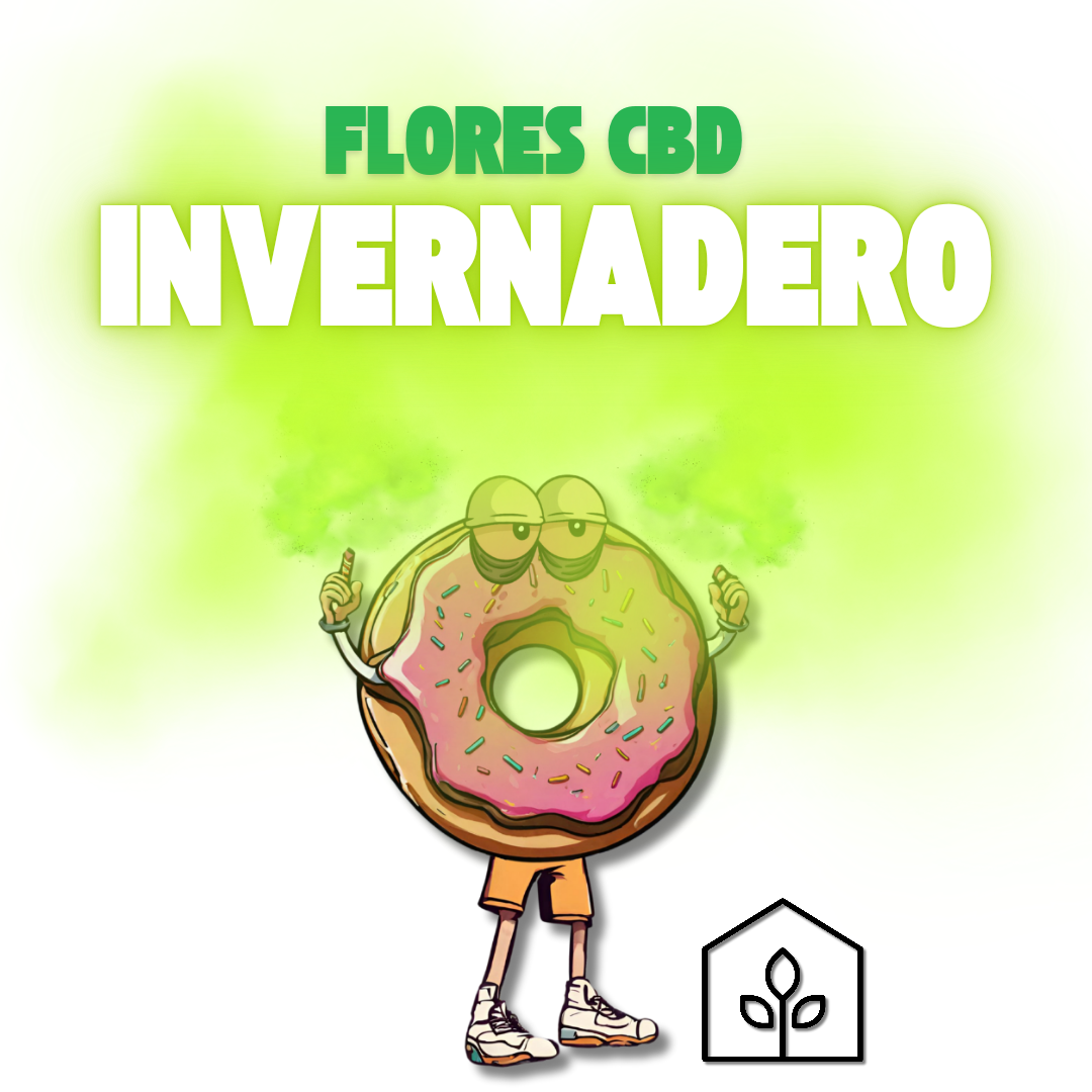 FLORES CBD INVERNADERO