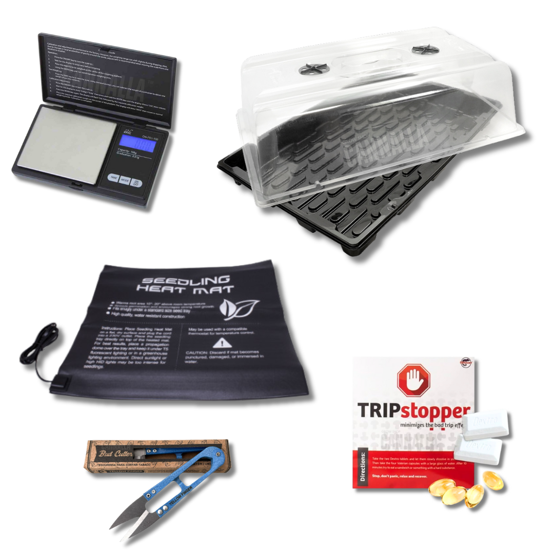 ACCESORIOS SMARTSHOP