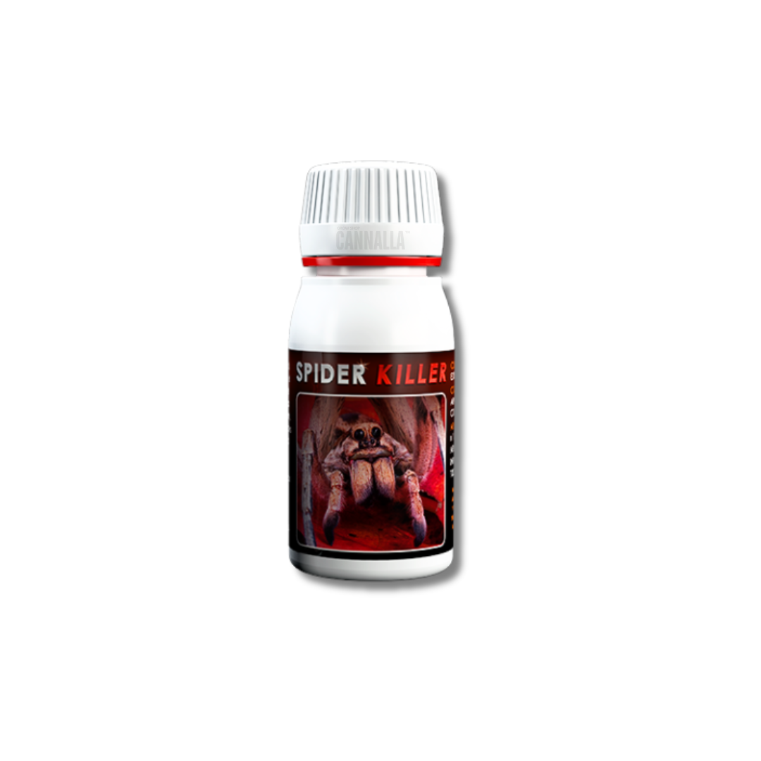 SPIDER KILLER