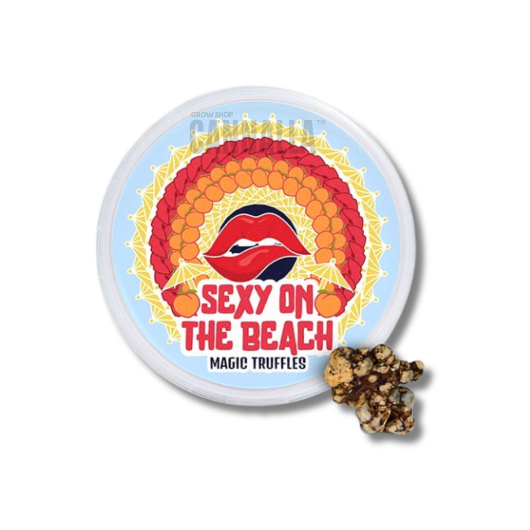 TRUFAS "SEXY ON THE BEACH"