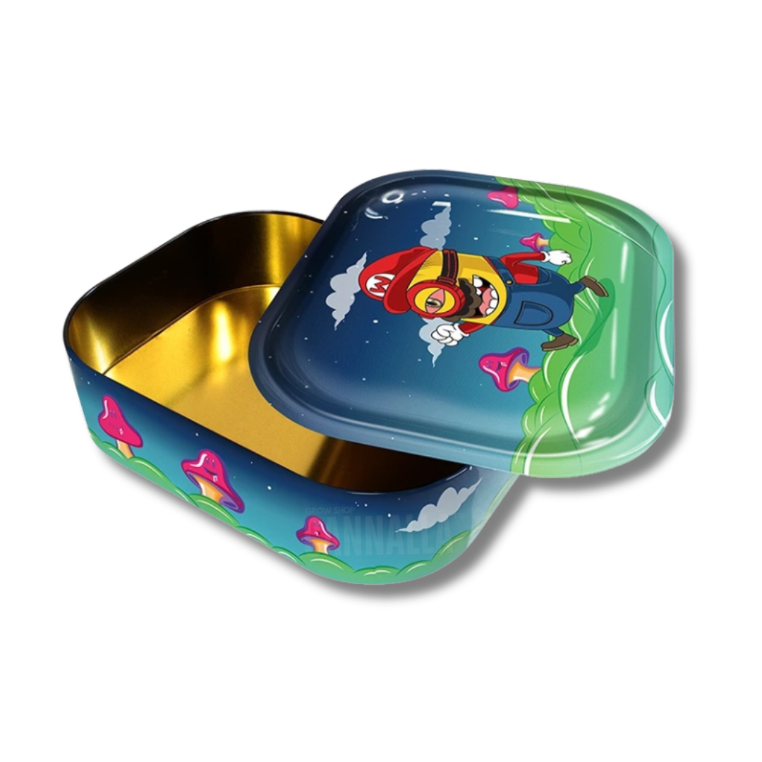 CAJA METAL + BANDEJA "MINION BROS"