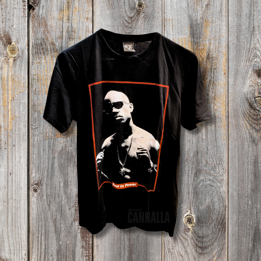 CAMISETA NO PAIN NO GAIN "GURU"