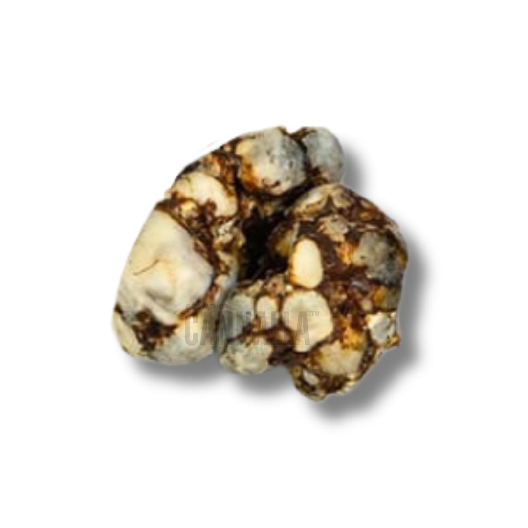 TRUFAS "DRAGON DYNAMIT"