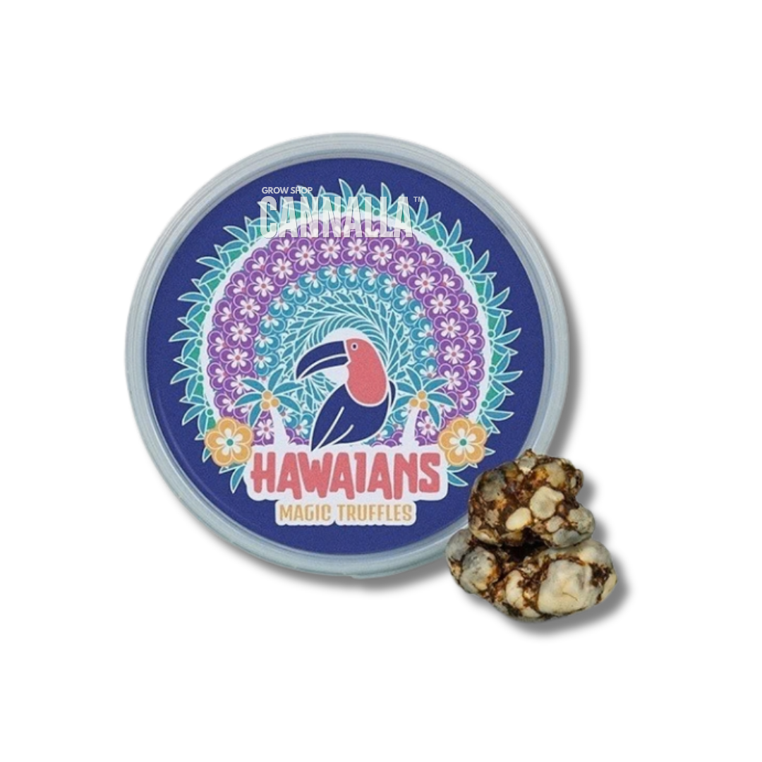 TRUFAS "HIGH HAWAIANS"