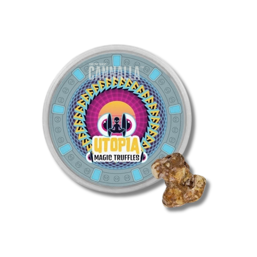 TRUFAS "UTOPIA"