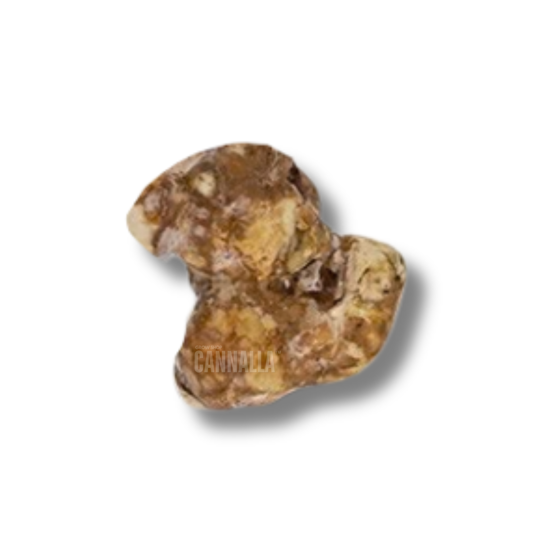 TRUFAS "UTOPIA"