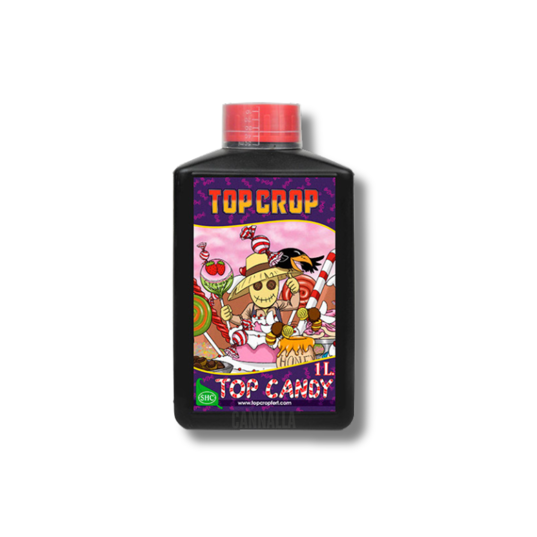 TOP CANDY