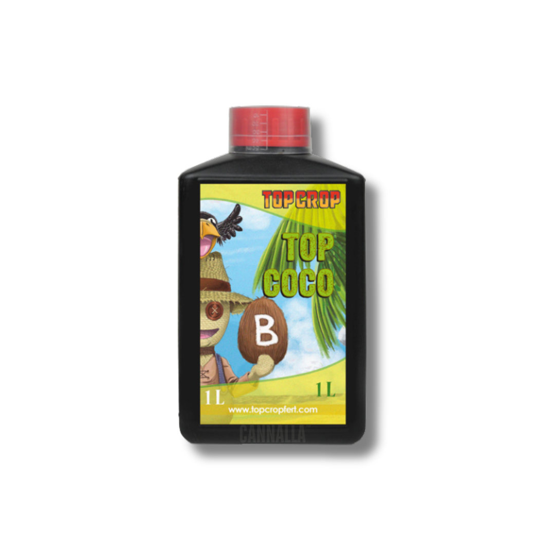 TOP COCO B