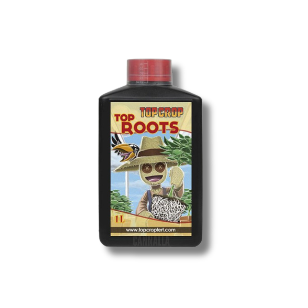 TOP ROOTS