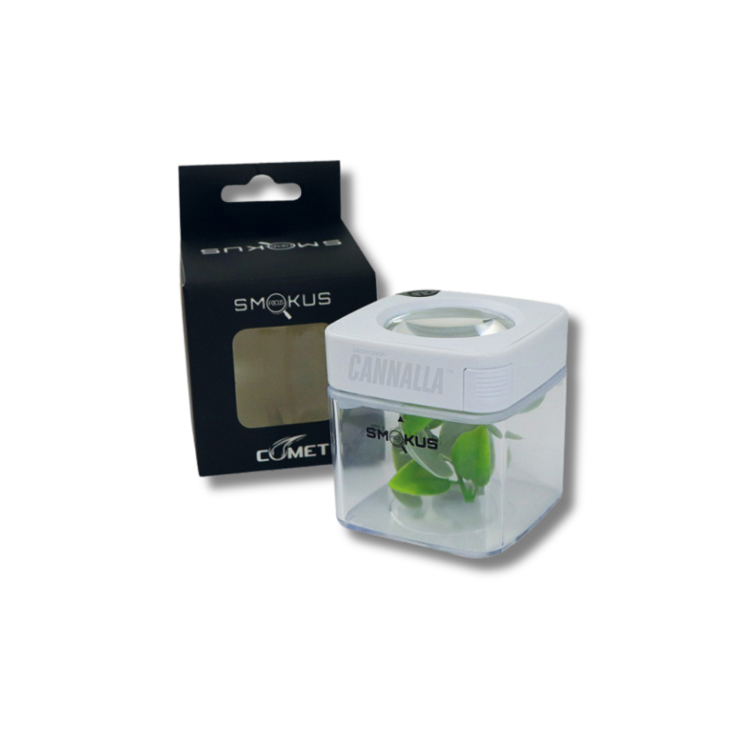 SMOKUS BOTE FOCUS "COMET"