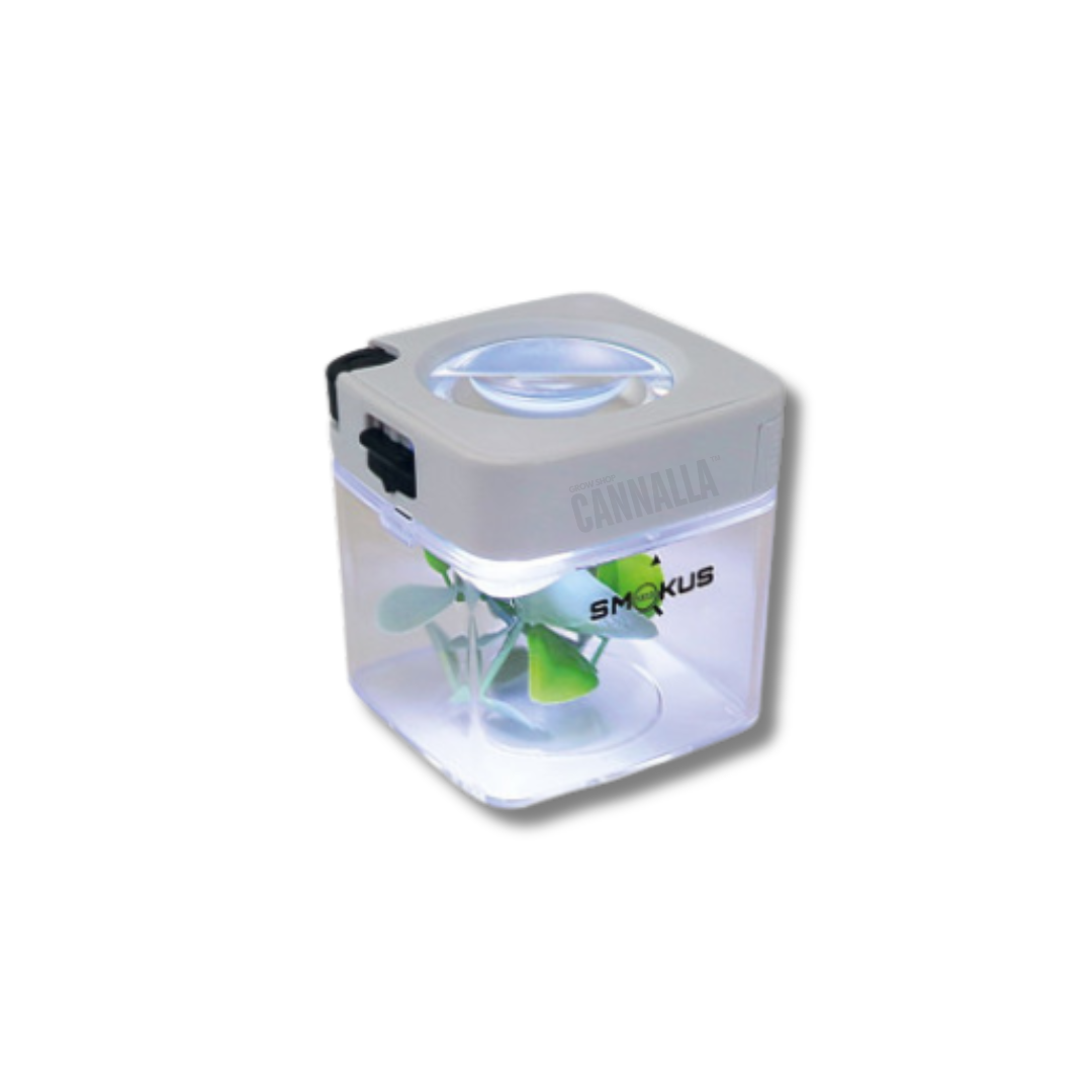 SMOKUS BOTE FOCUS "COMET"