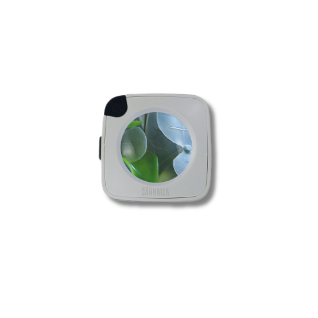 SMOKUS BOTE FOCUS "COMET"