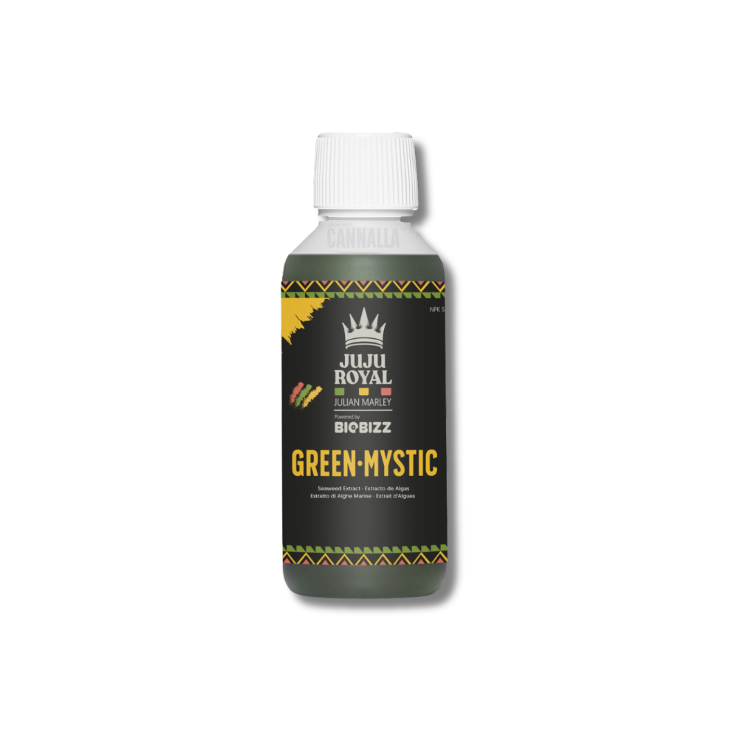 GREEN MYSTIC