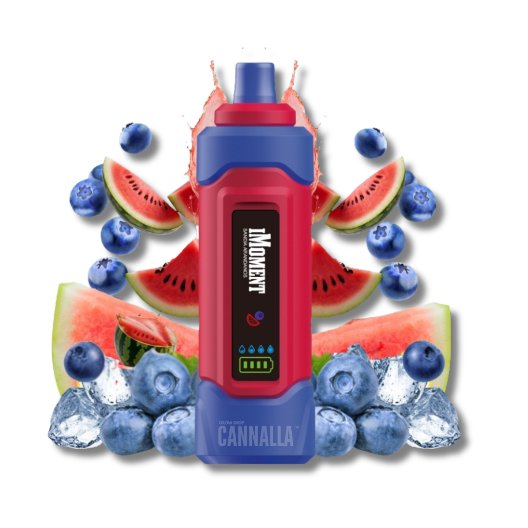 IMOMENT XIXA POD DTL/MTL DESECHABLE