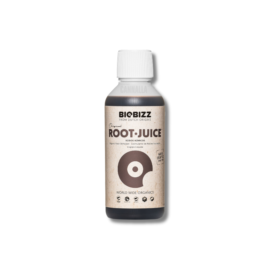 ROOT·JUICE