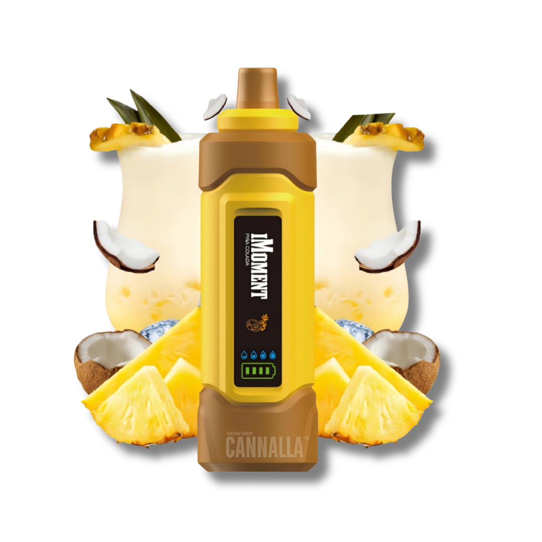 IMOMENT XIXA POD DTL/MTL DESECHABLE