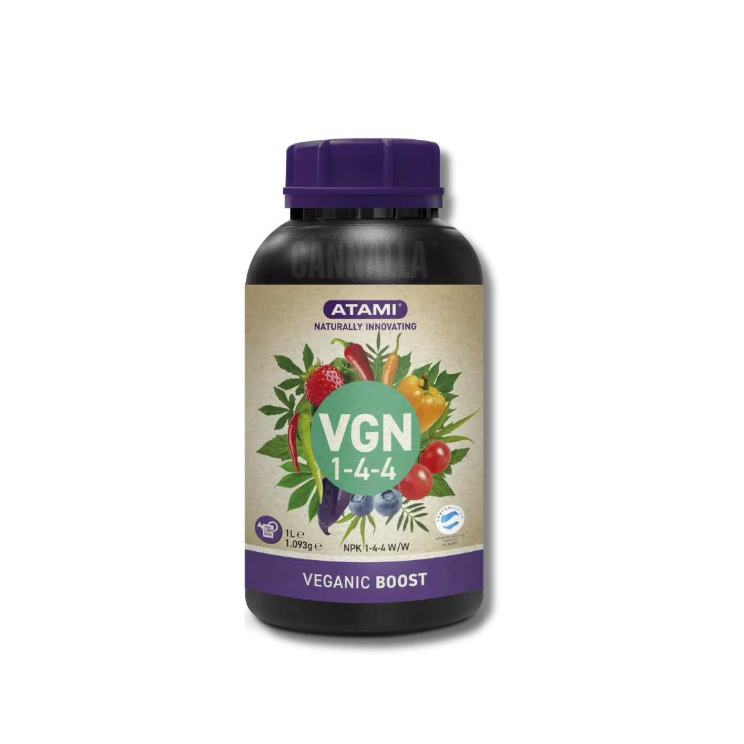 VGN BOOST
