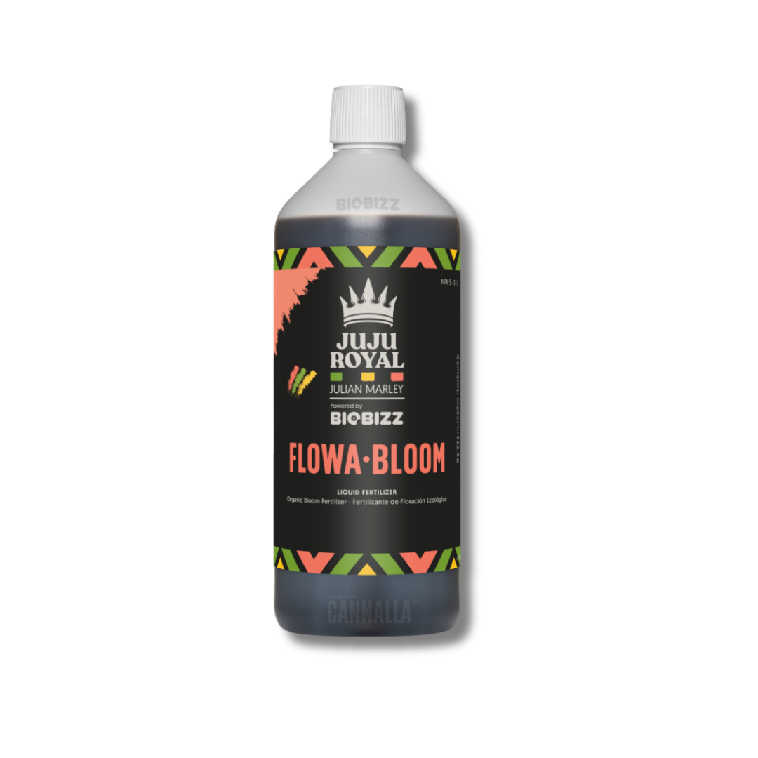 FLOWA BLOOM