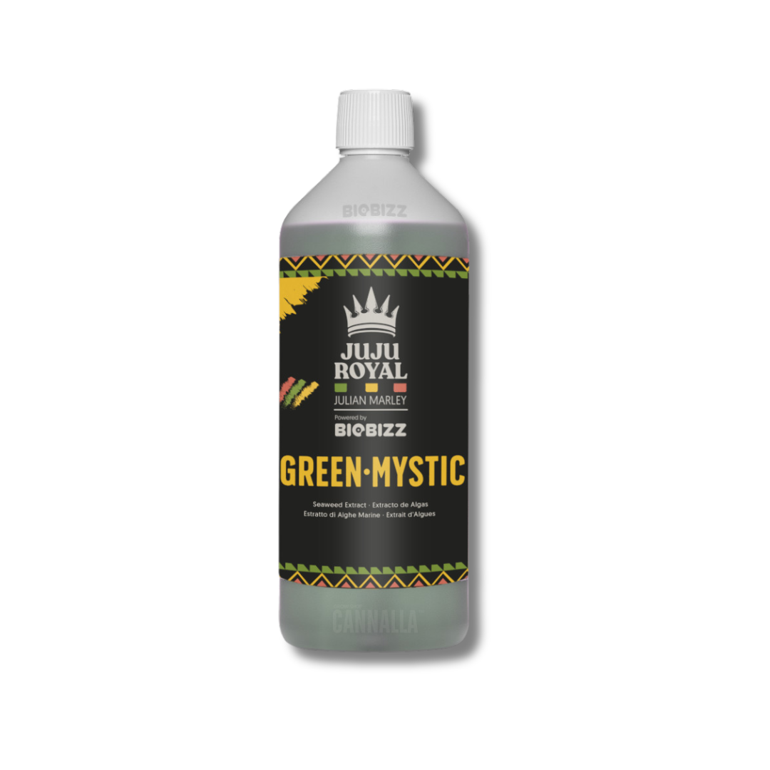 GREEN MYSTIC