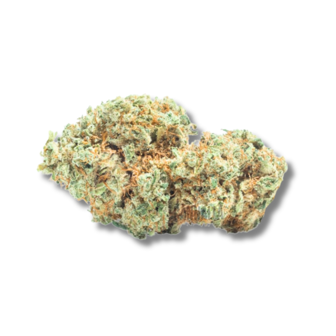 GELATO CBD