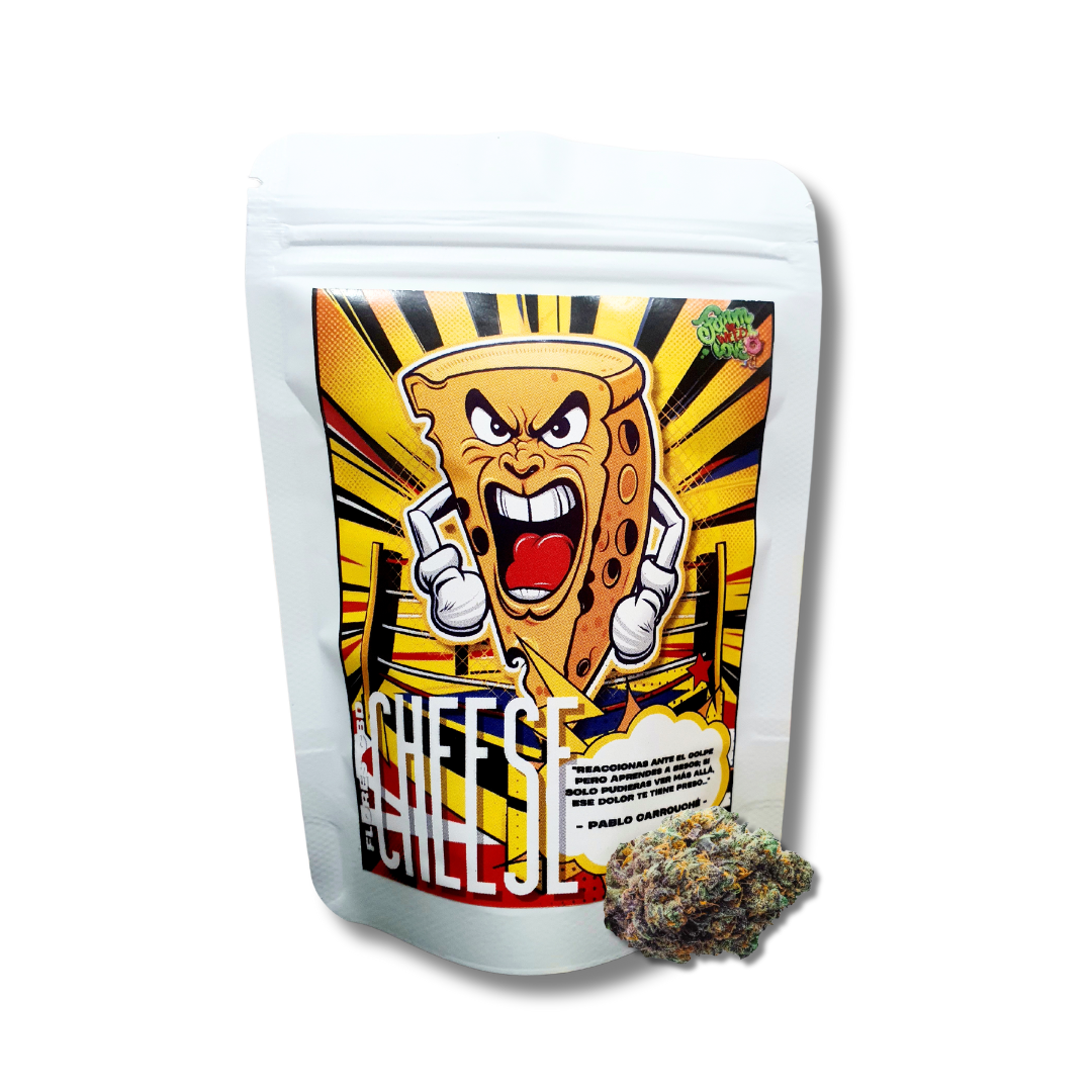 CHEESE HAZE CBD