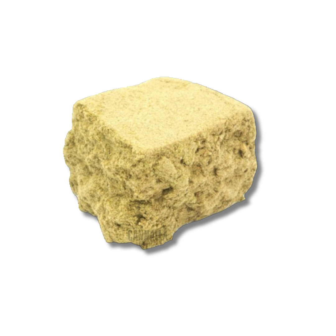 DOBLEZERO CBD