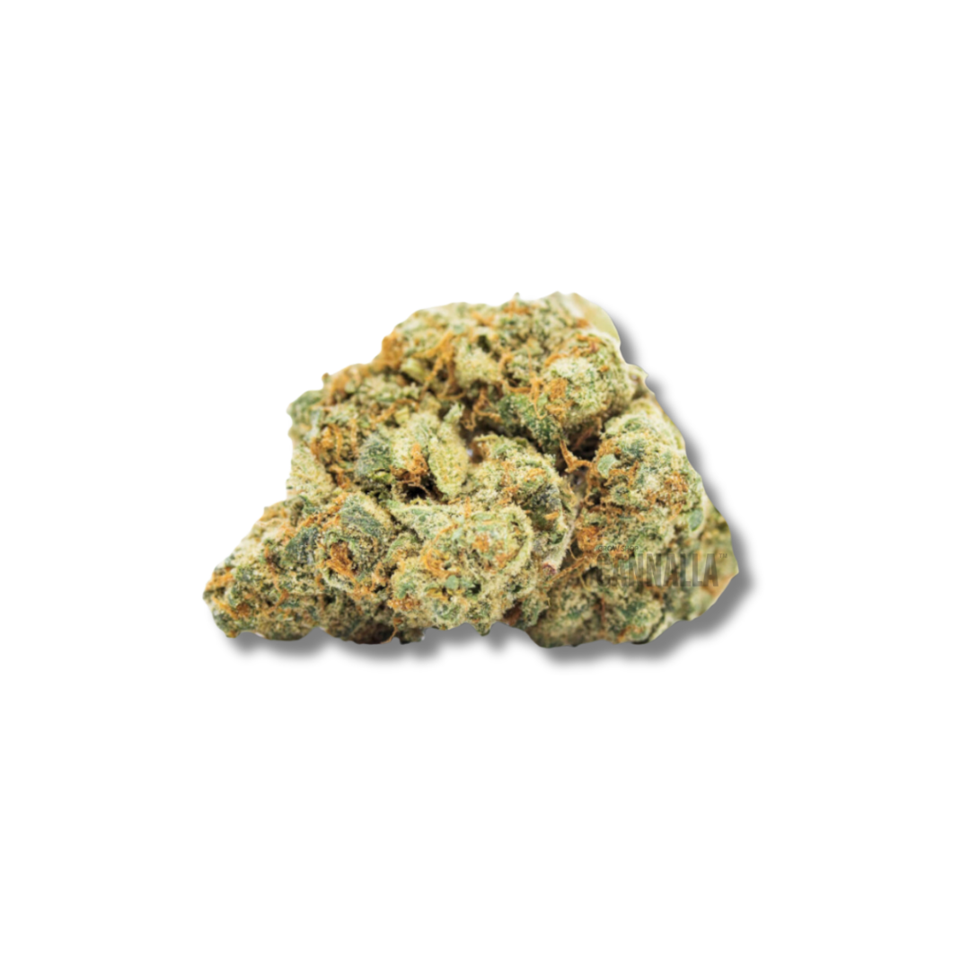 DIESEL CBD