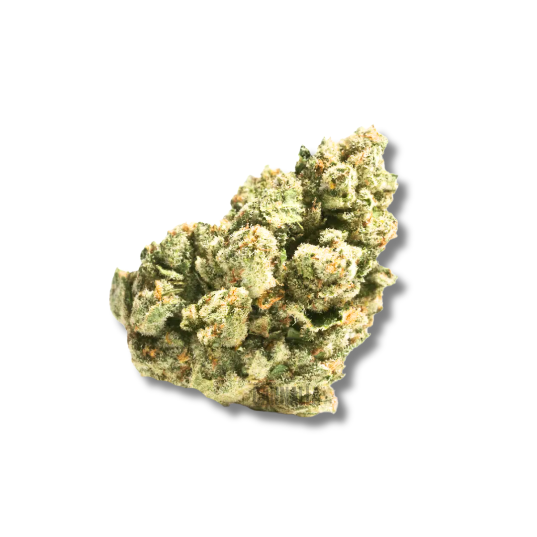 AMNESIA CBD