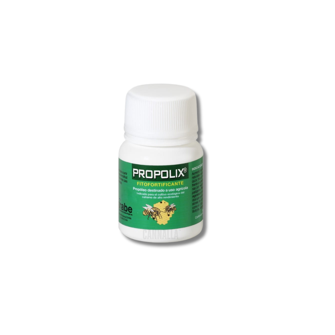 TRABE PROPOLIX