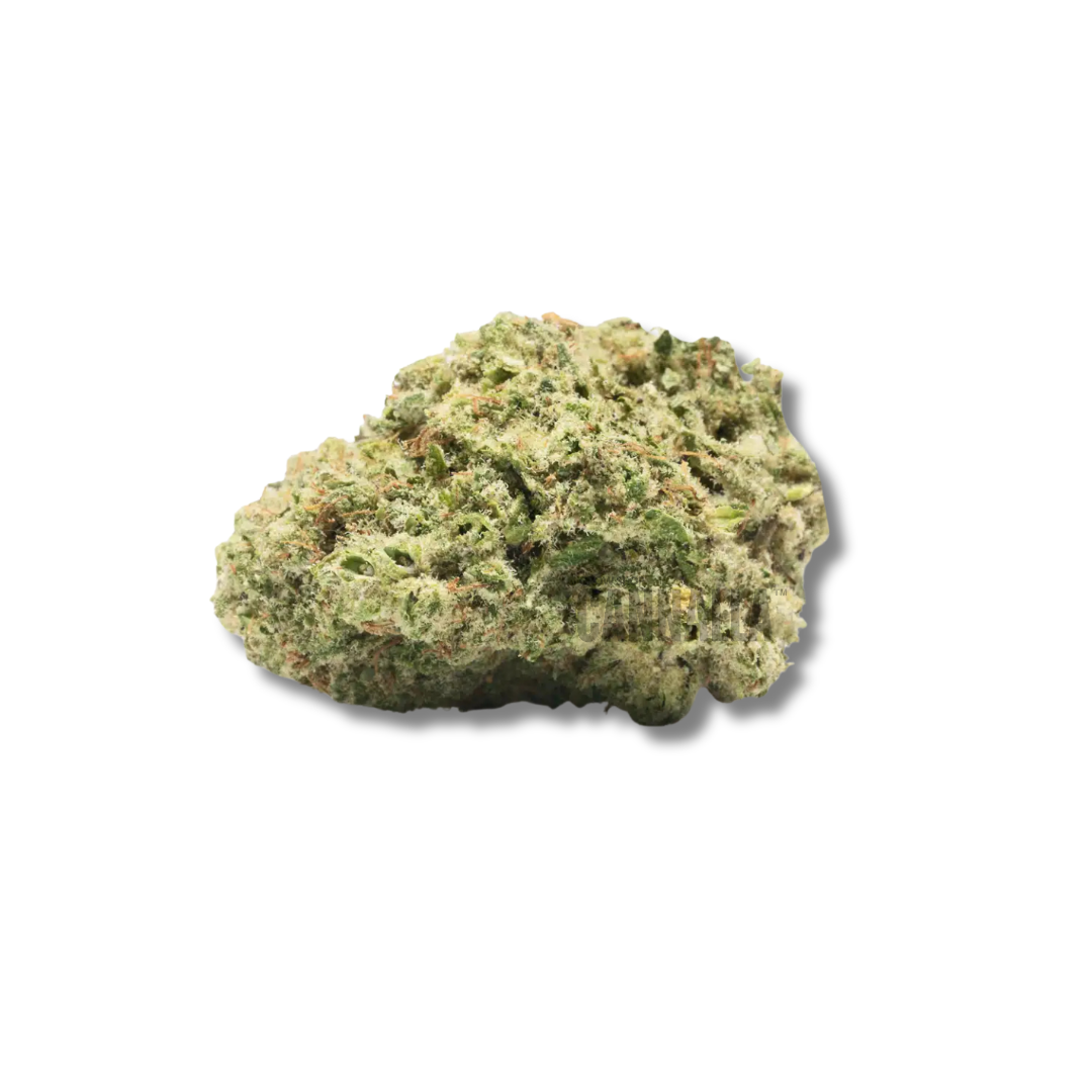 SIDEREAL FRUIT CBD