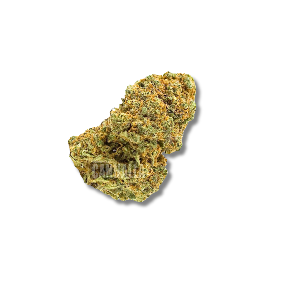 TROPICAL JUICE CBD