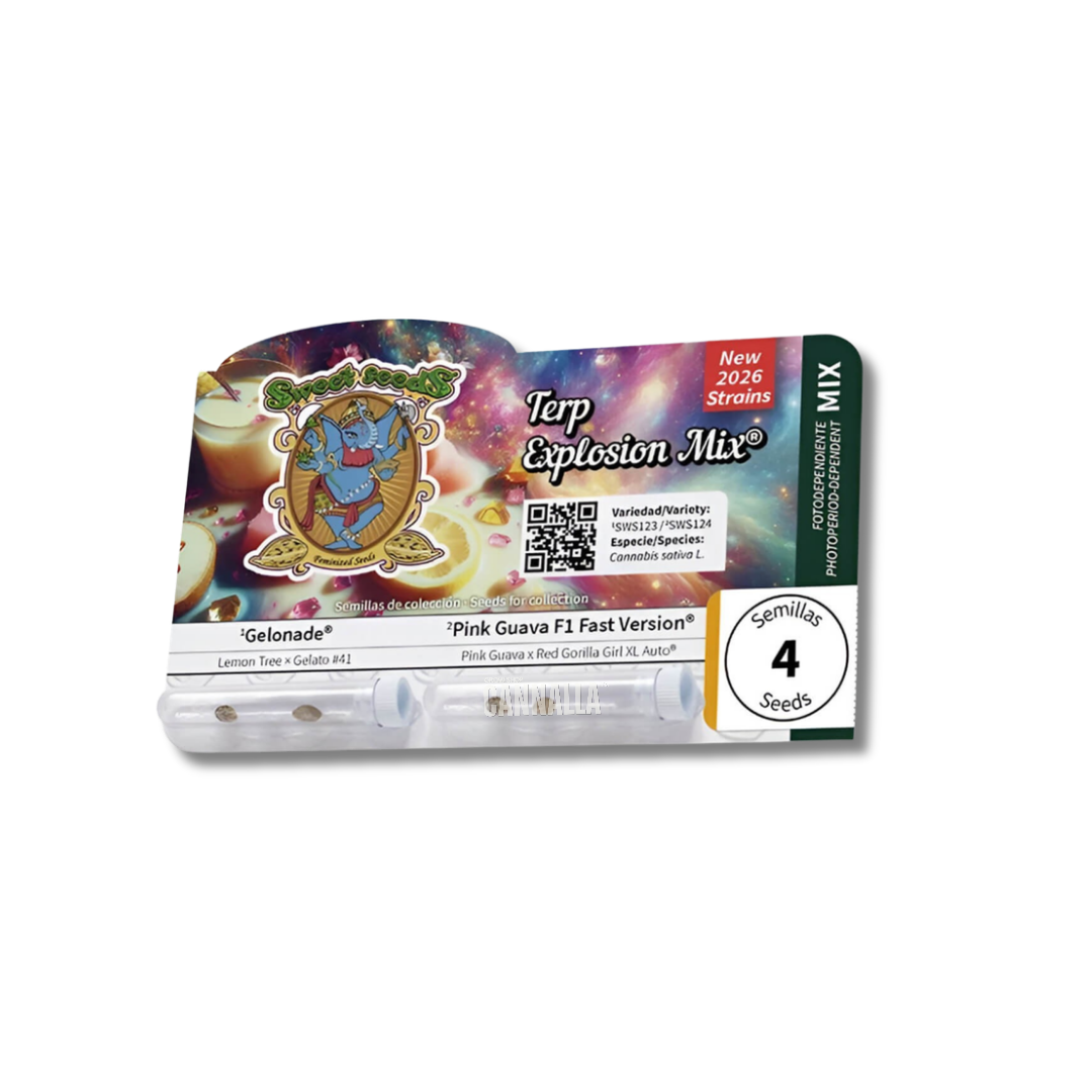 SWEET SEEDS "TERP EXPLOSION MIX"