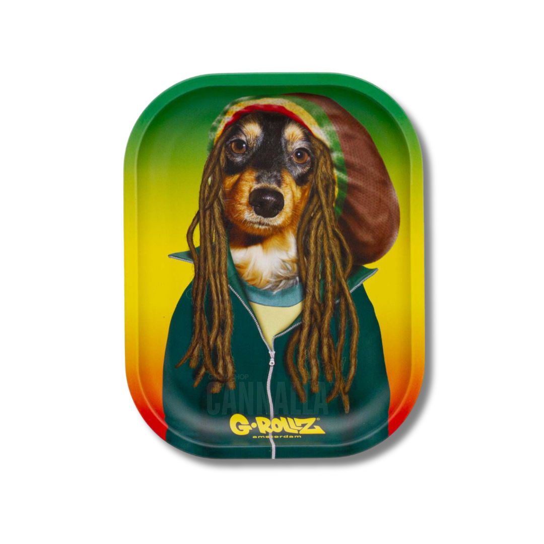 G·ROLLZ BANDEJA PETS ROCK "REGGAE"
